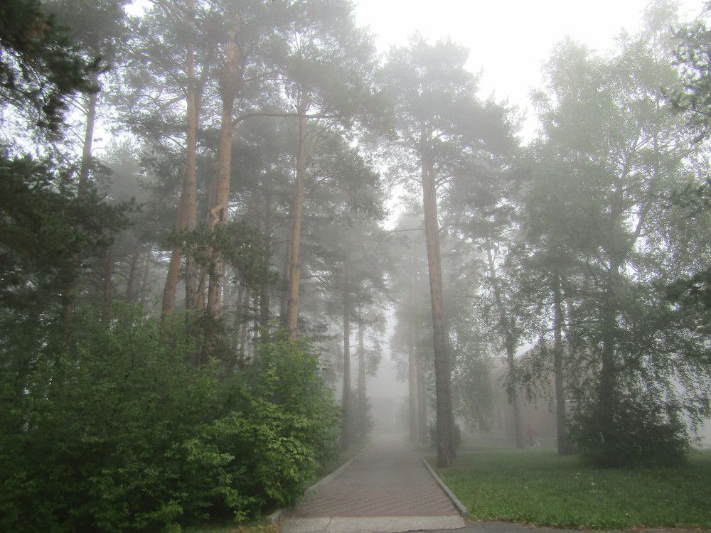 Photograph by Николай Худяков