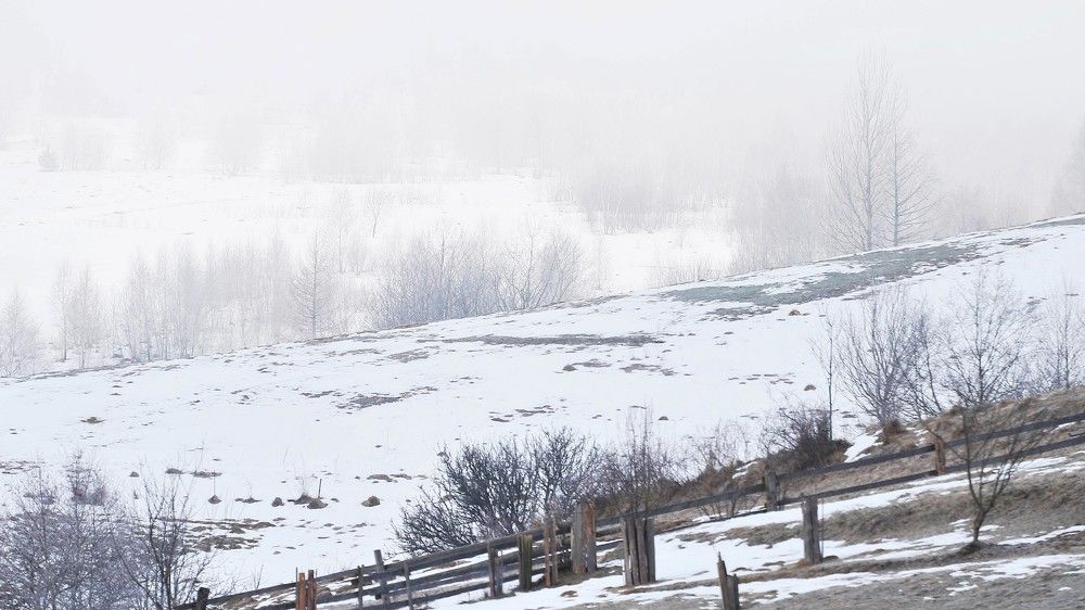 Photograph by Андрей Телибаев