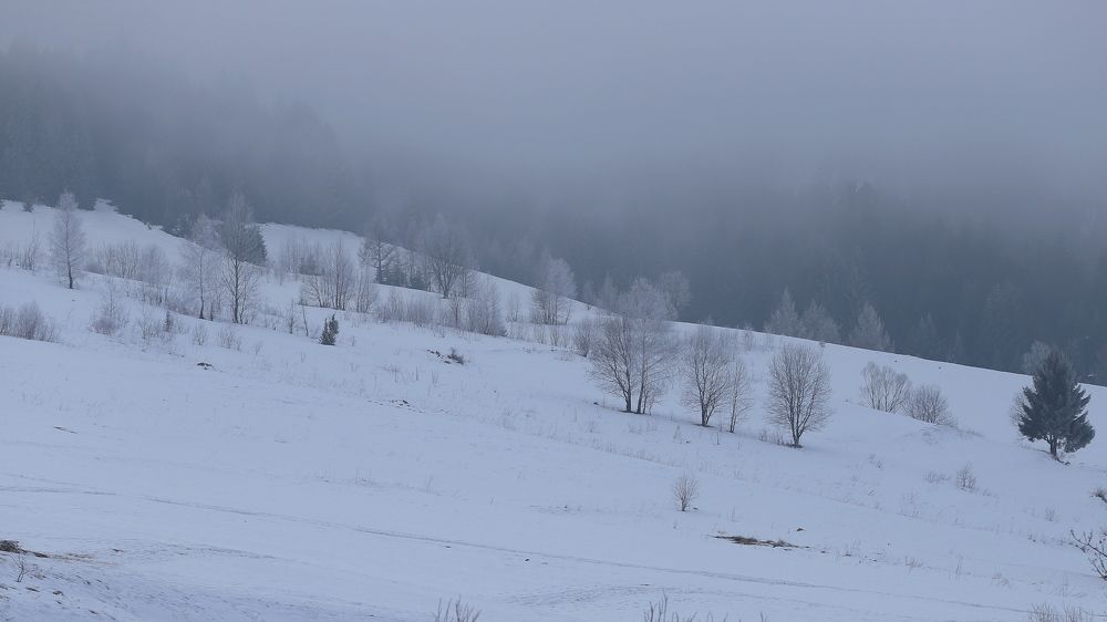 Photograph by Андрей Телибаев