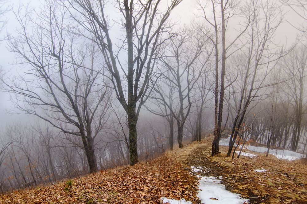 Photograph by Роман Смолко