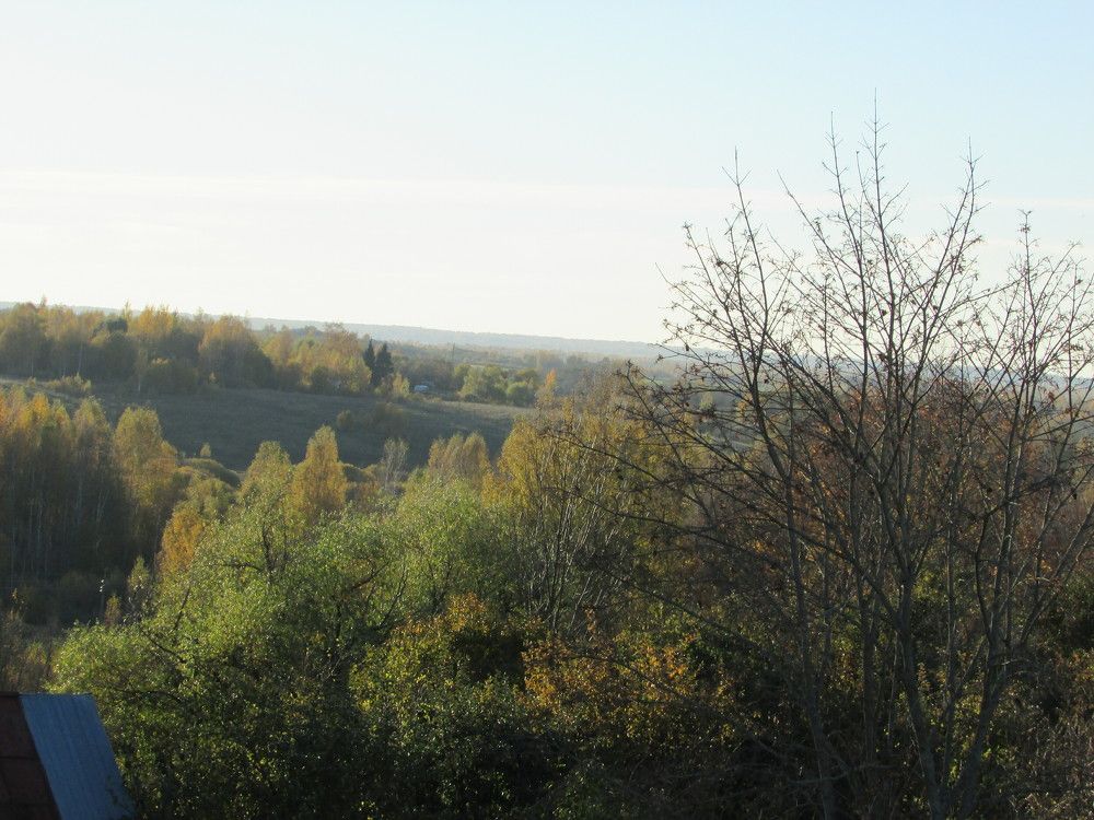Photo #6681987