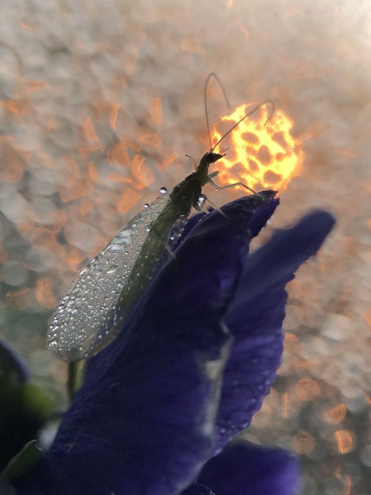 Photograph by Юлия Отставнова