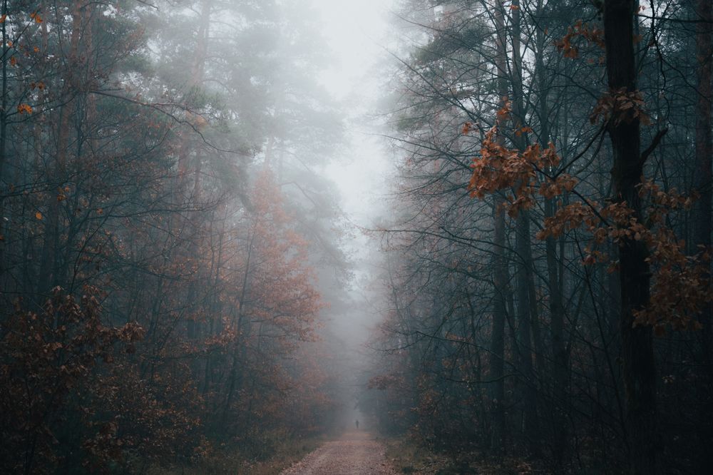 Photograph by Olga Gantman