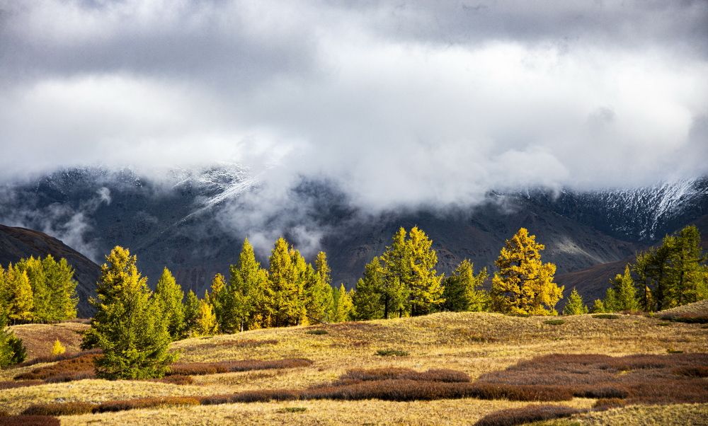 Photograph by Валентин Казанцев