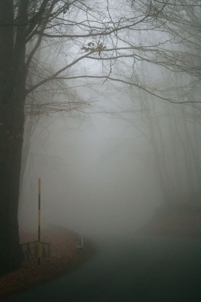 Photograph by Claudio Bonaccorsi