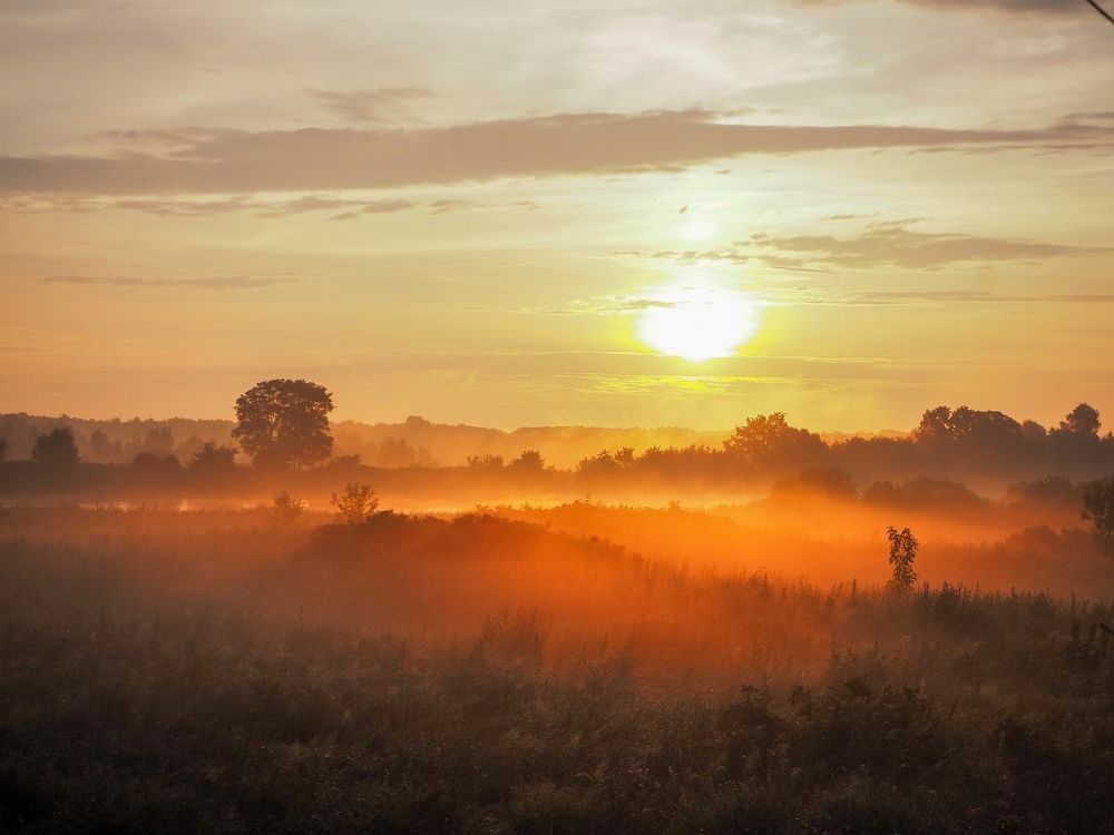 Photograph by Павел Бутко