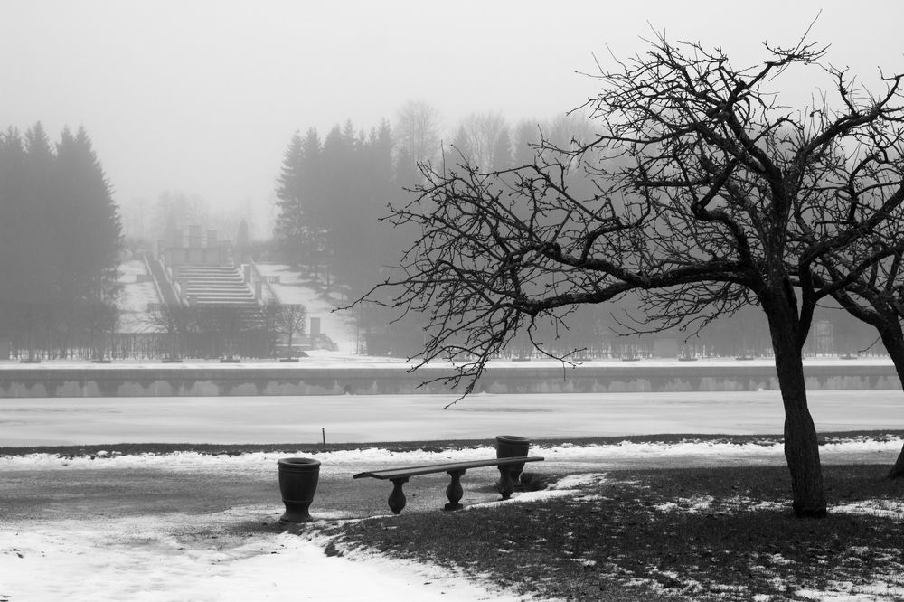 Photograph by Андрюс