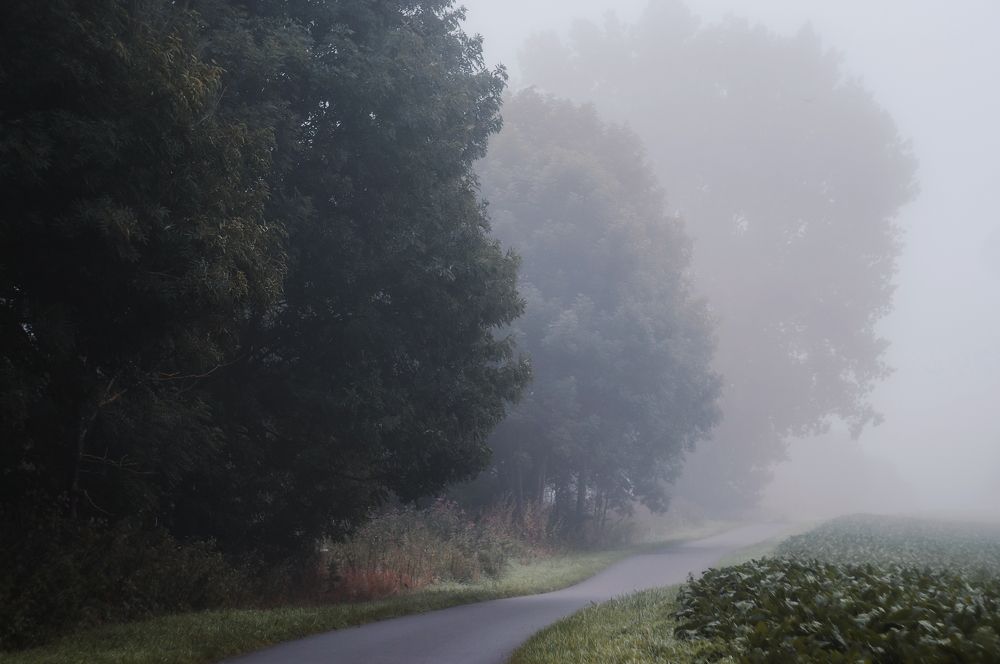 Photograph by Екатерина