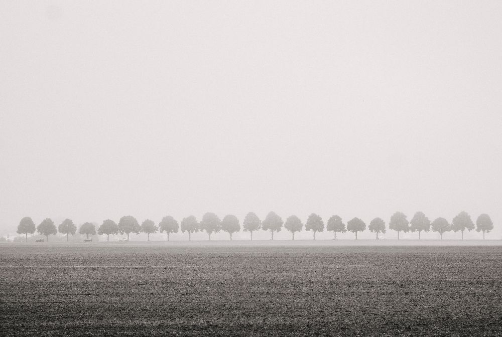 Photograph by Екатерина