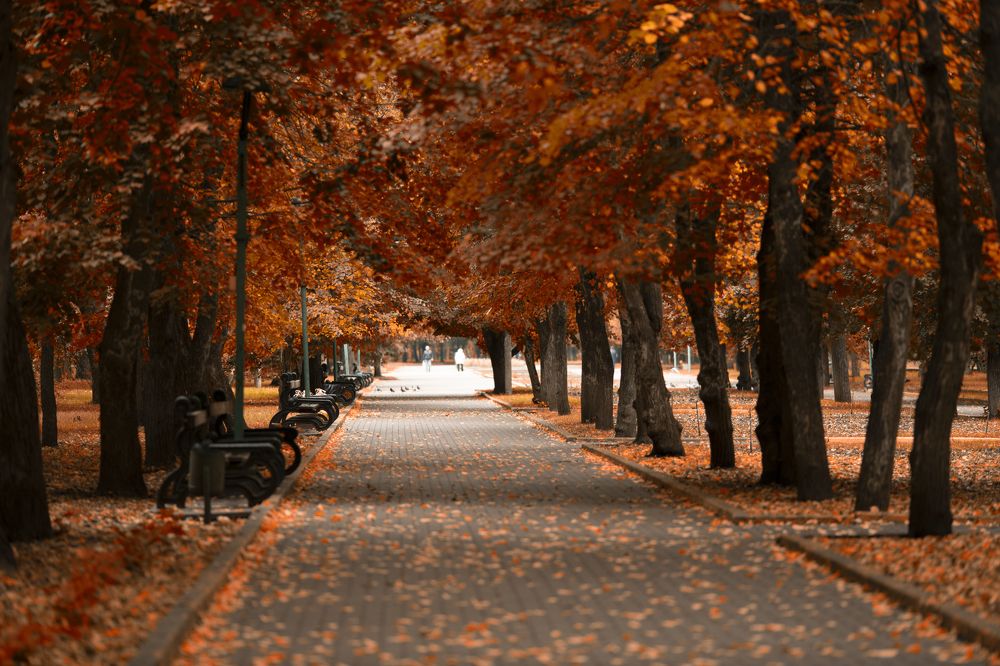 Photograph by Людмила Колесниченко