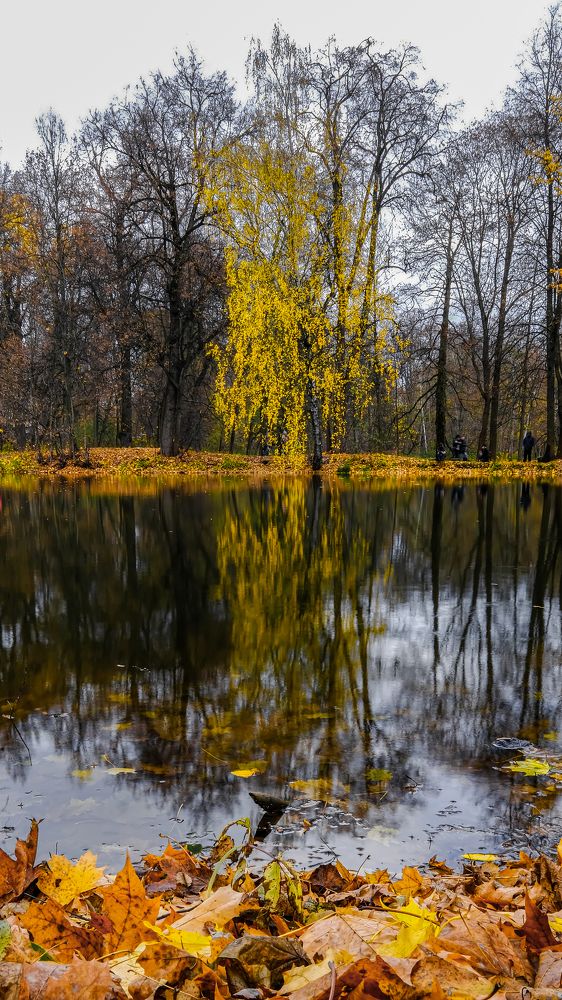 Photograph by Василий Арлашов