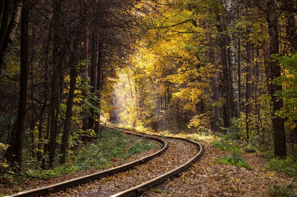 Photograph by Василий Арлашов