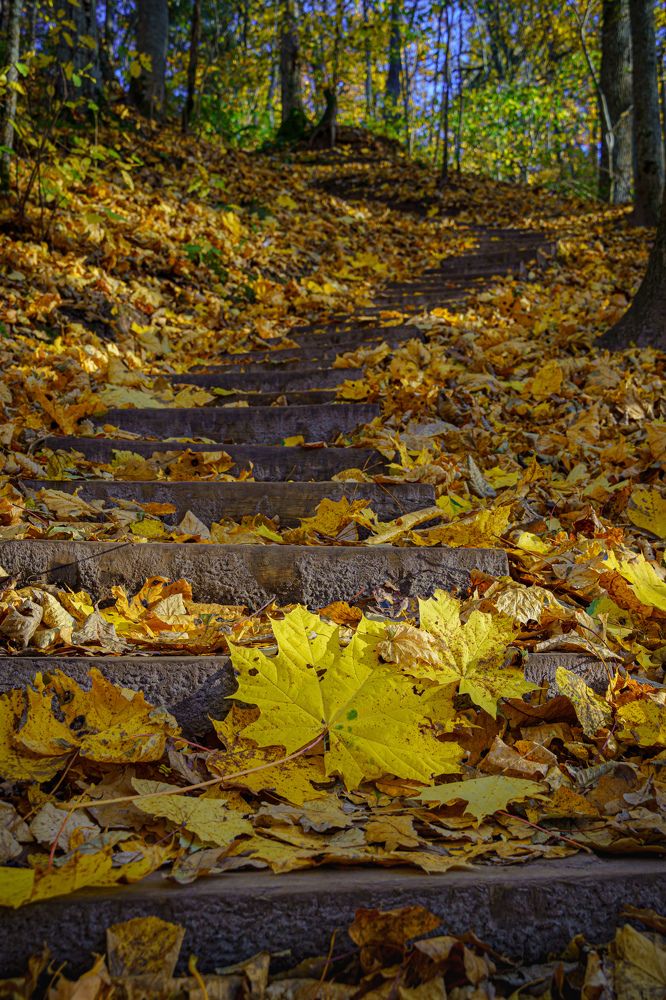 Photograph by Valdis Serzhans