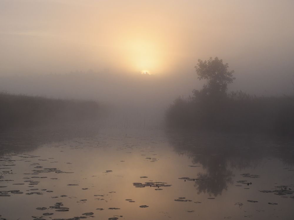 Photograph by Сергей Гаврилов