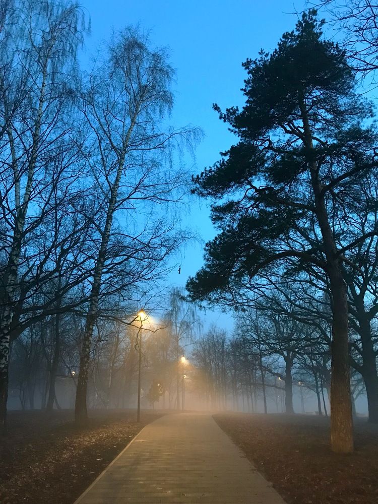 Город окутал фонарный туман…