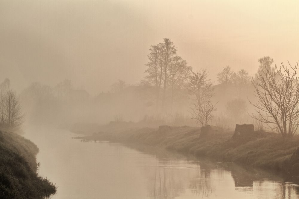 Photograph by Przemyslaw Wlodkowski