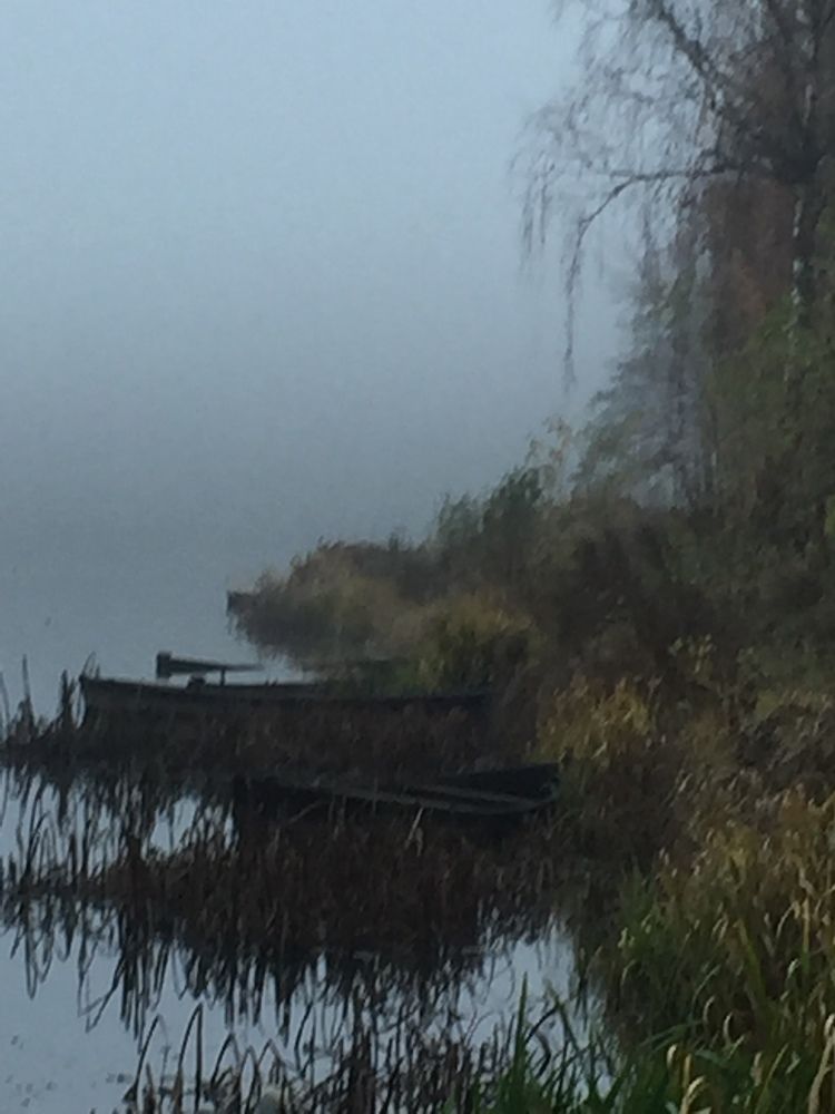 River in the evening