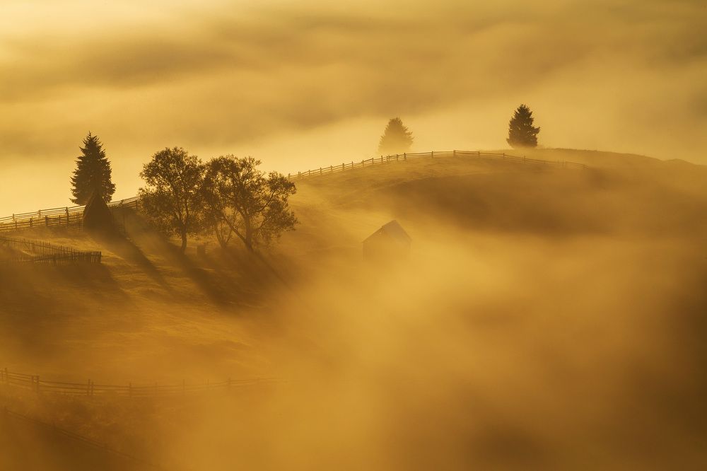 Photograph by Alex Coman