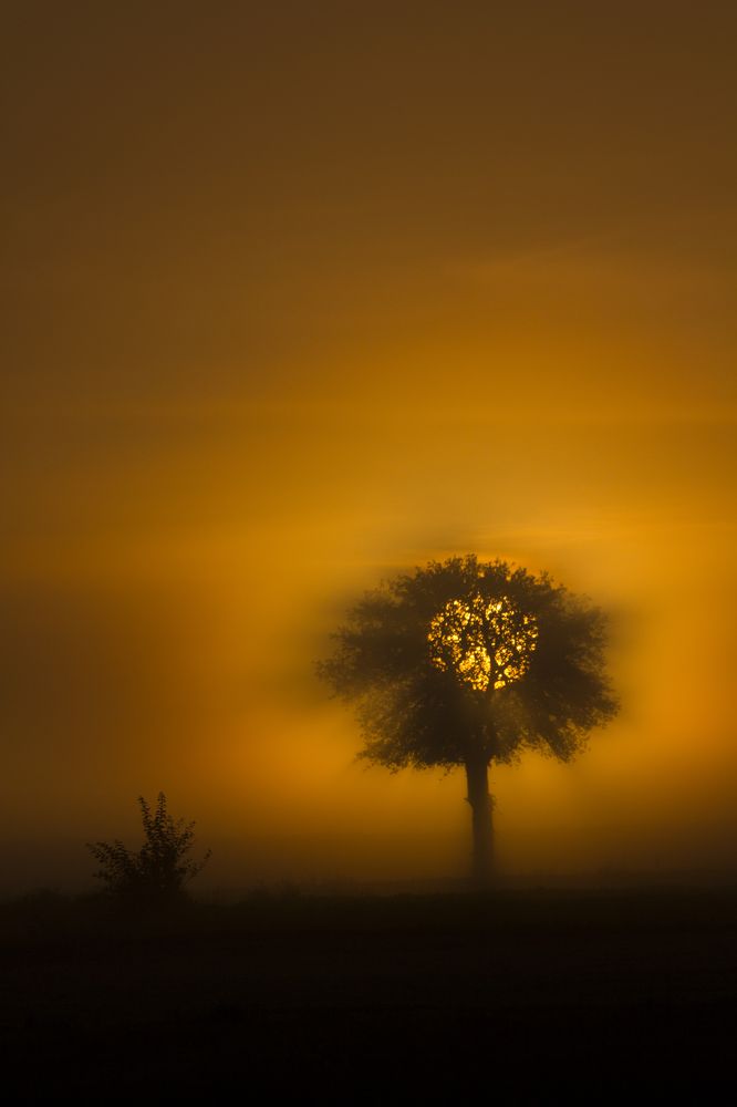 Photograph by Przemyslaw Wlodkowski