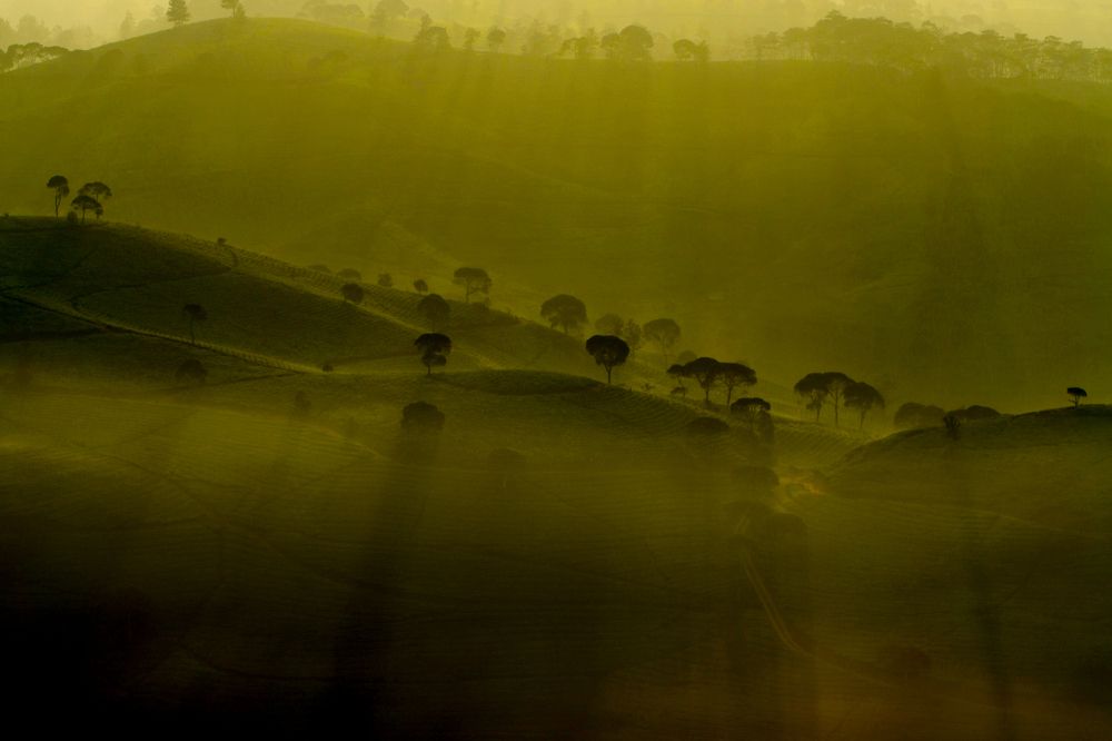 Photograph by Baraya Rocky