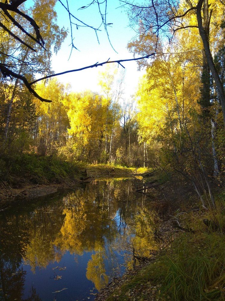 Photograph by Anna Sokolova
