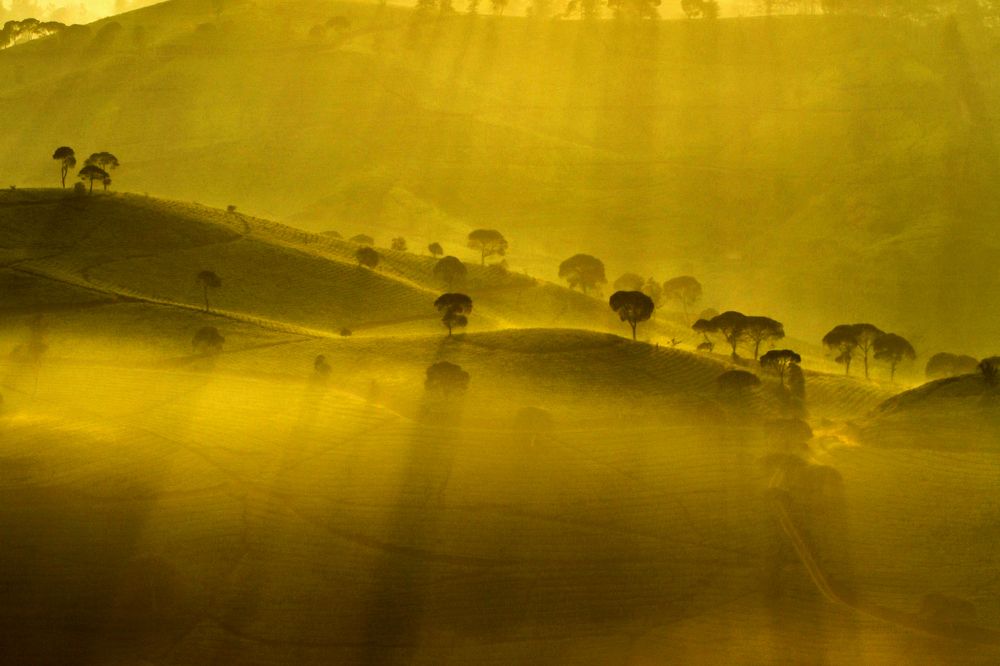 Photograph by Baraya Rocky