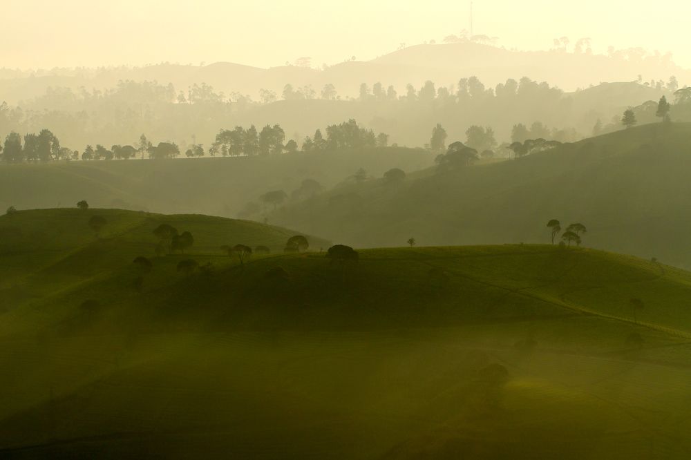 Photograph by Baraya Rocky