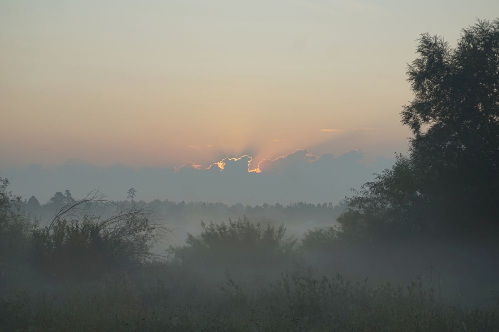 Photograph by Измаил Ефимов