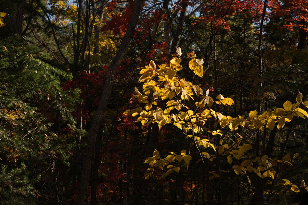 Photograph by Наталья Цуканова