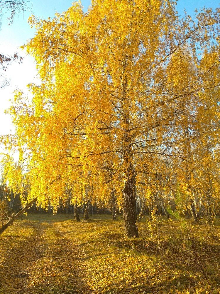 Photograph by Anna Sokolova