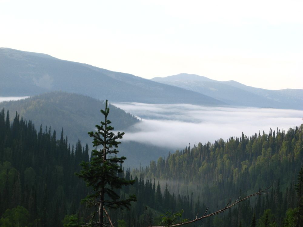 Photograph by Юлия Боровкова