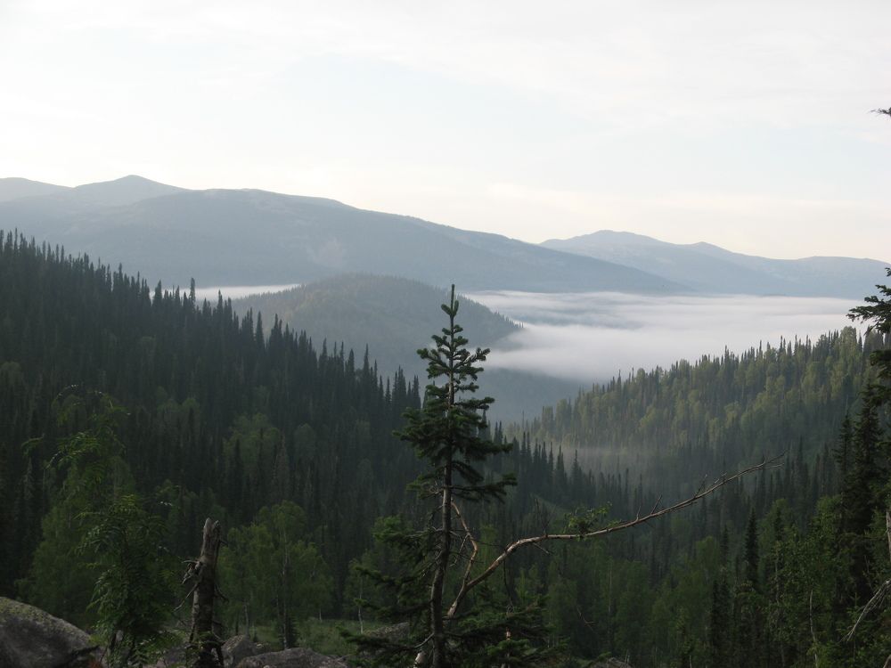 Photograph by Юлия Боровкова