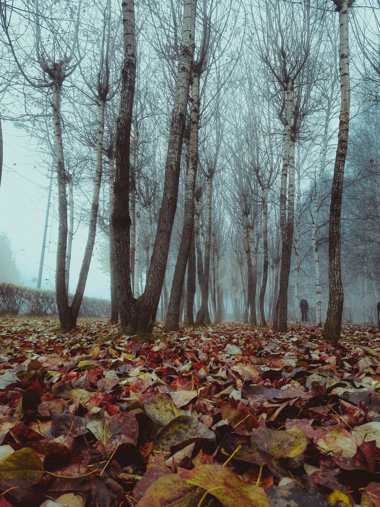 Photograph by Розита Гильманова