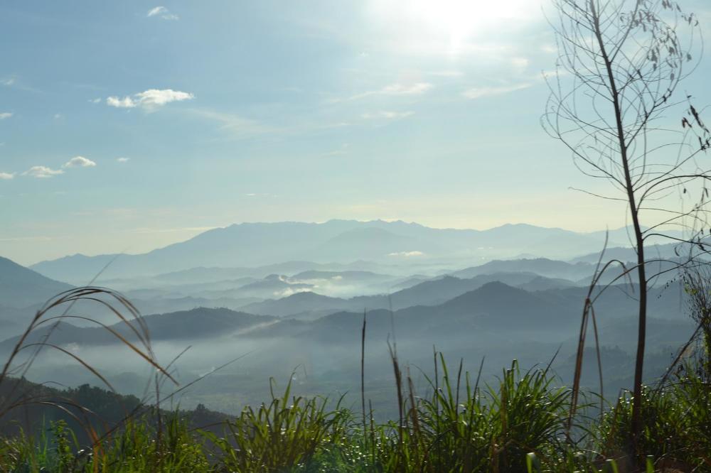 Photograph by Анжелика Трошина