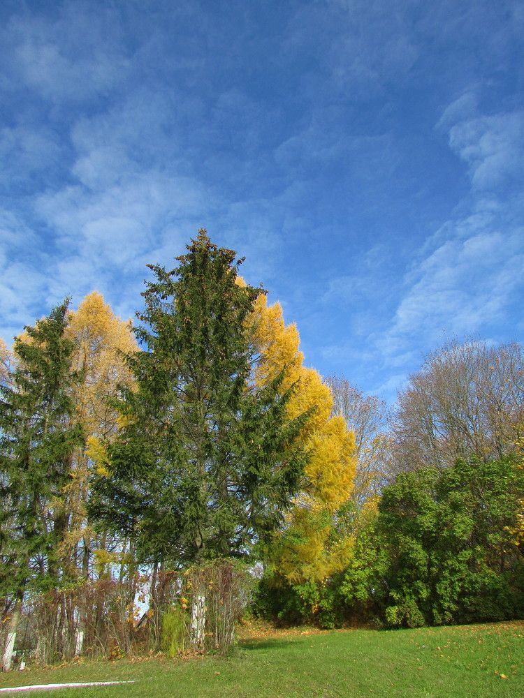 Photo #6682434