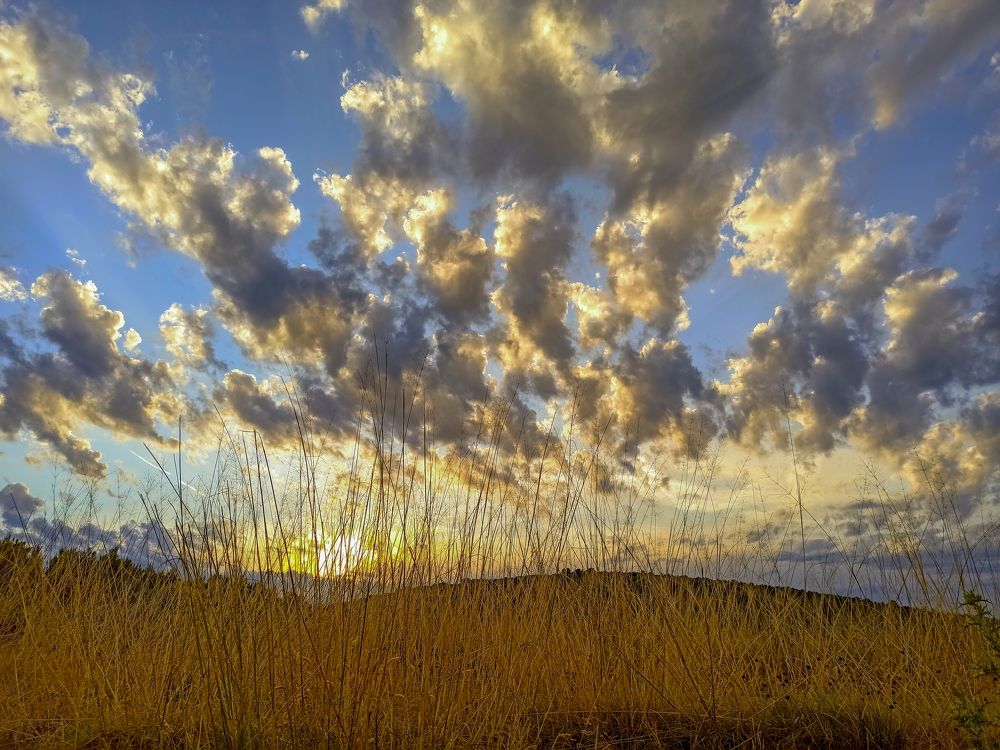 Photograph by Helena