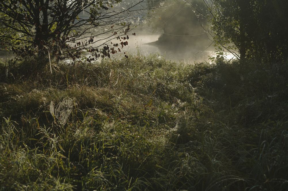 Photograph by Измаил Ефимов