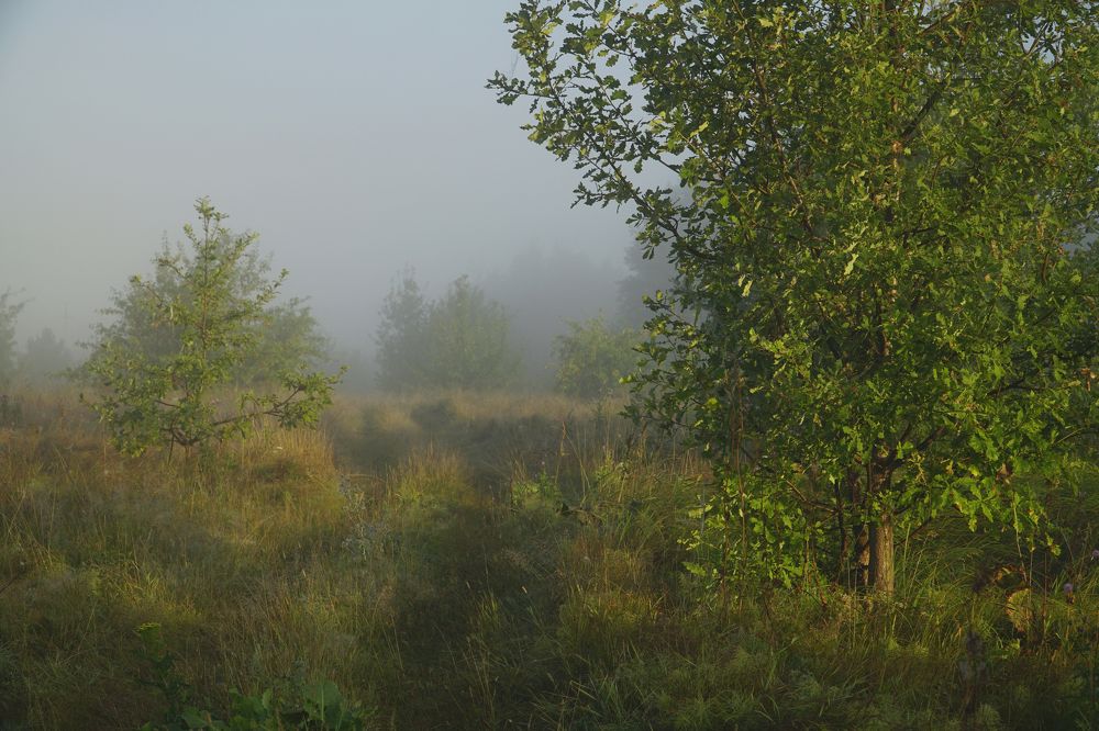 Photograph by Измаил Ефимов