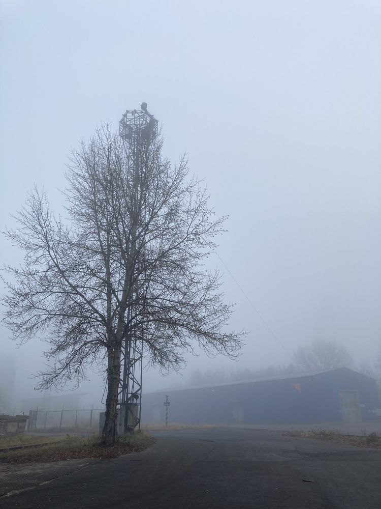 Photograph by Светлана