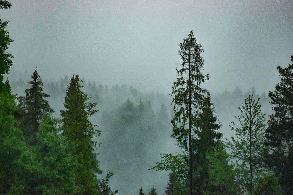 Photograph by Елена Антонова