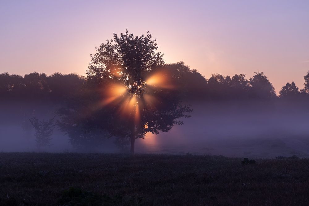 Первые лучи
