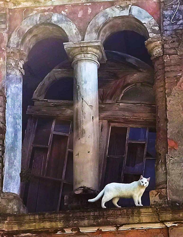 Photograph by Helena