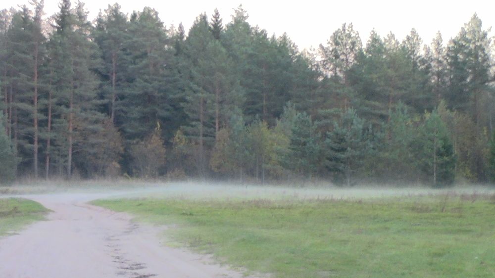 Photograph by Ирина Степановна Азаренкова