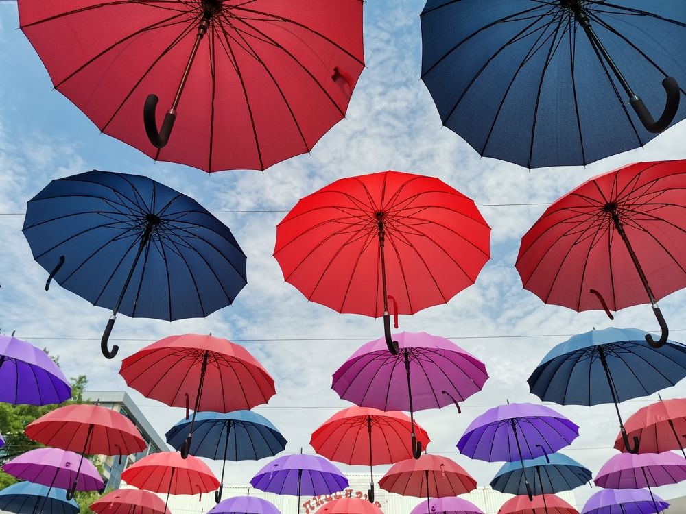 Photograph by Дмитрий Долгих