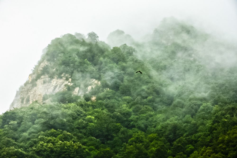 Photograph by Younes jafari