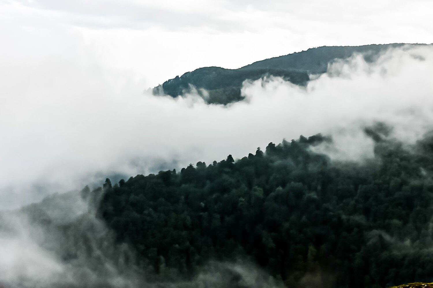 Photo #6682667
