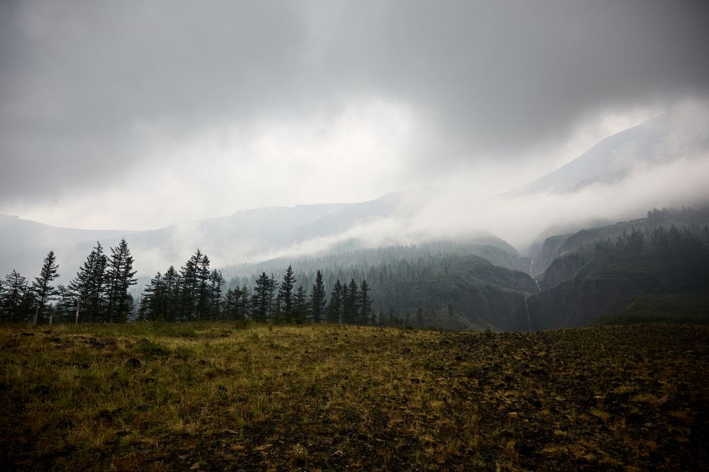 Photograph by Анастасия Тупицына