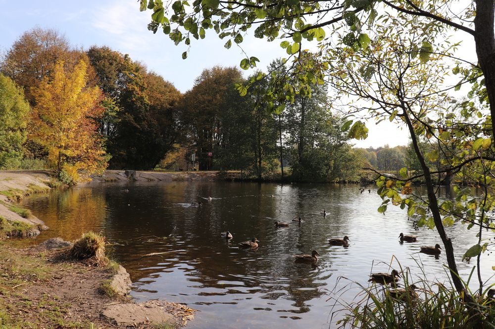 Photograph by Ксения