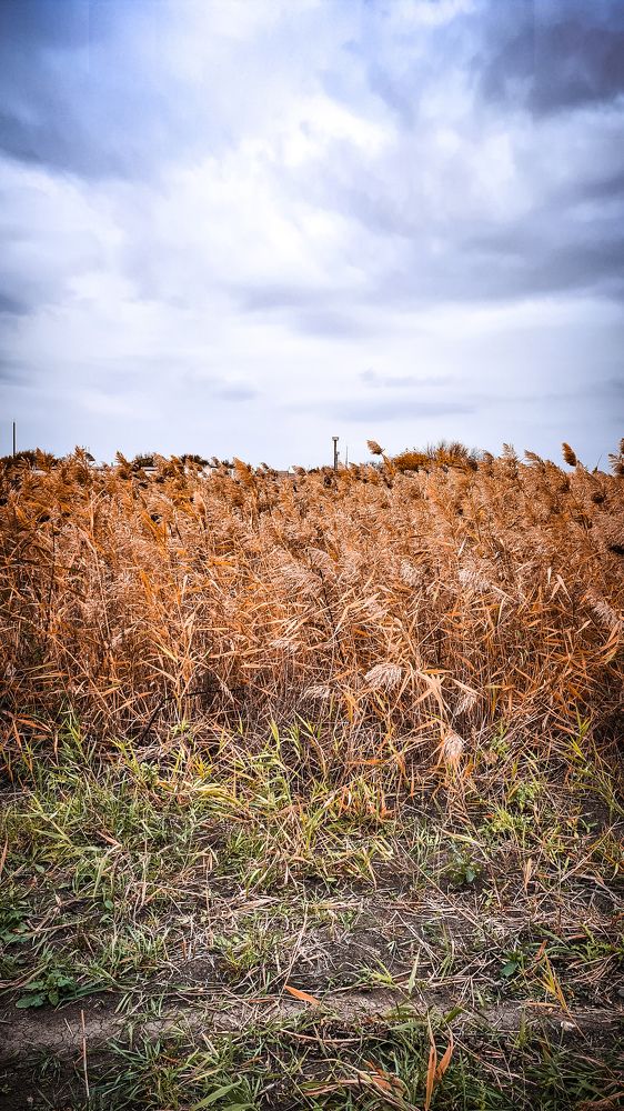 Хмурое небо