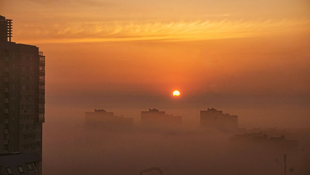 Photograph by Елена Пасажицкая